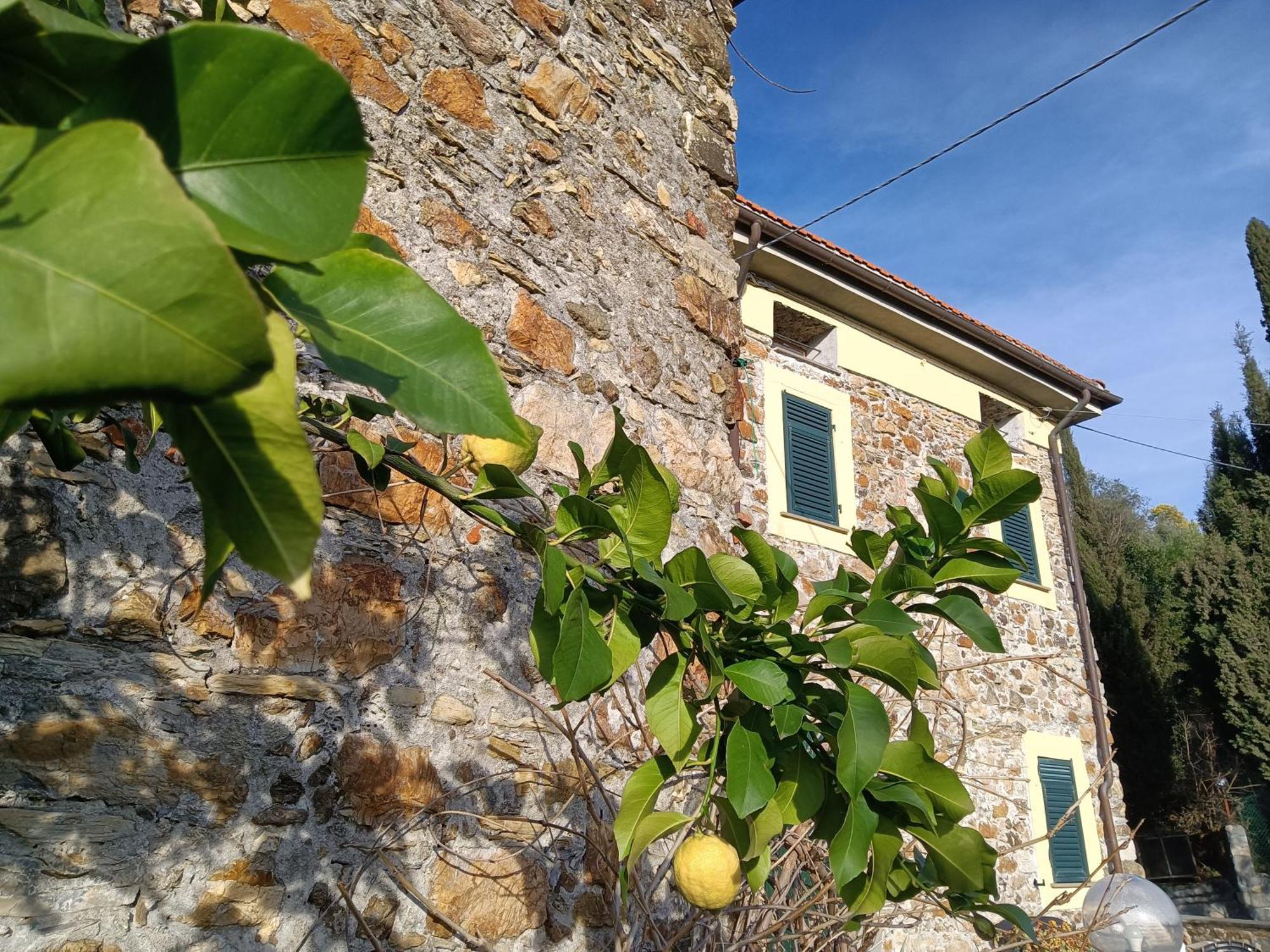 Il Fontolo Villa Ponzano Superiore Exterior photo