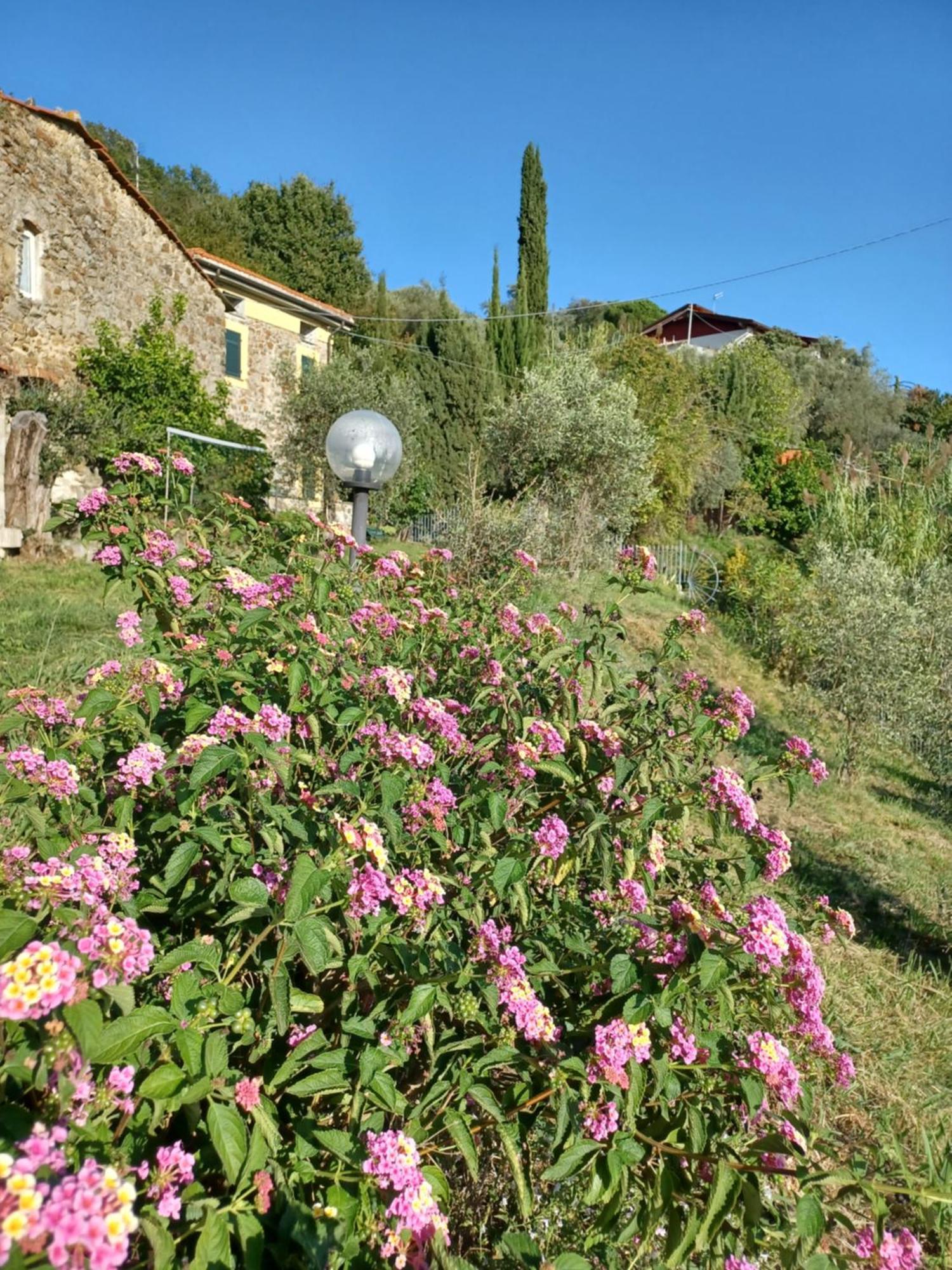 Il Fontolo Villa Ponzano Superiore Exterior photo