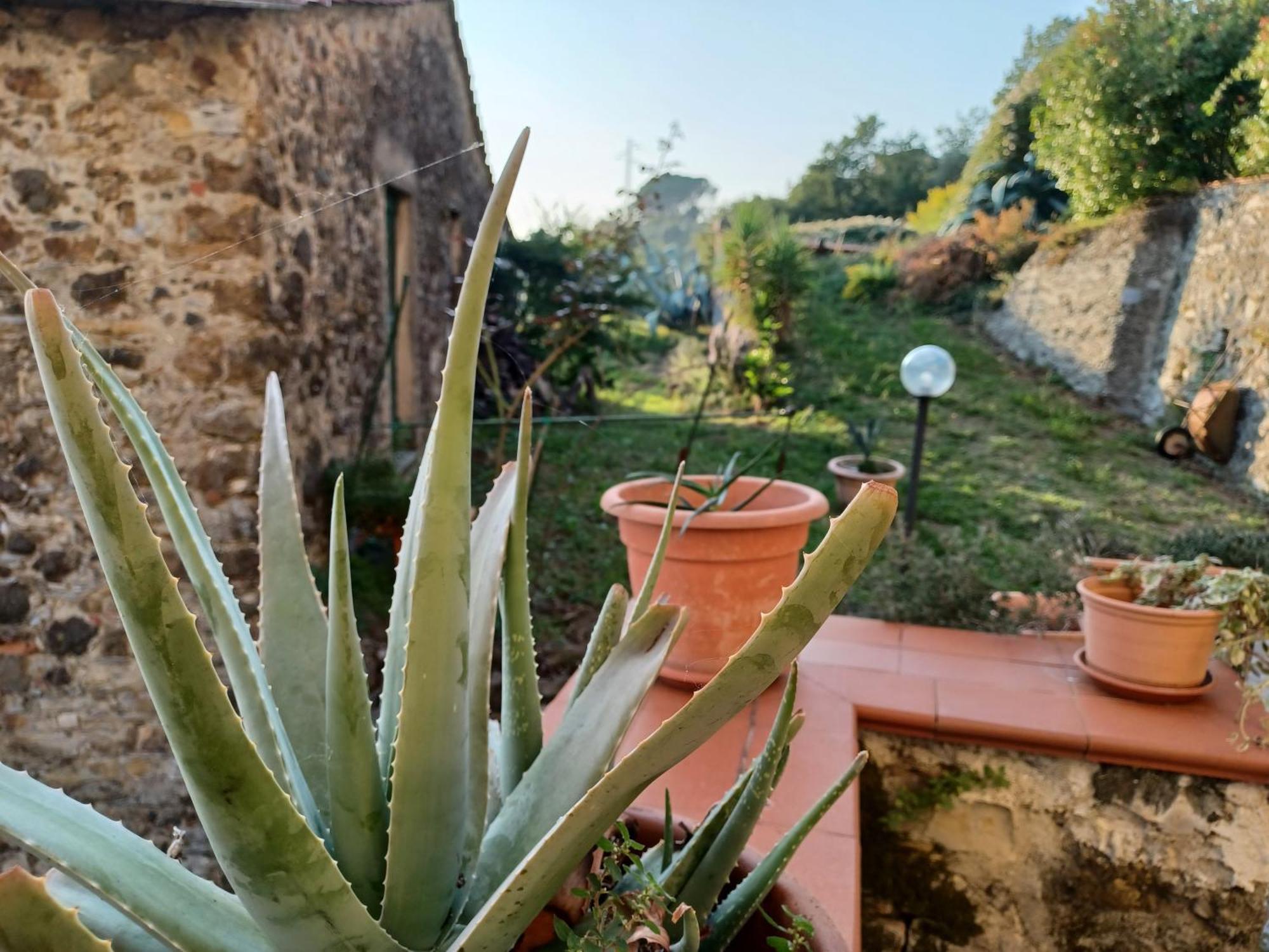 Il Fontolo Villa Ponzano Superiore Exterior photo