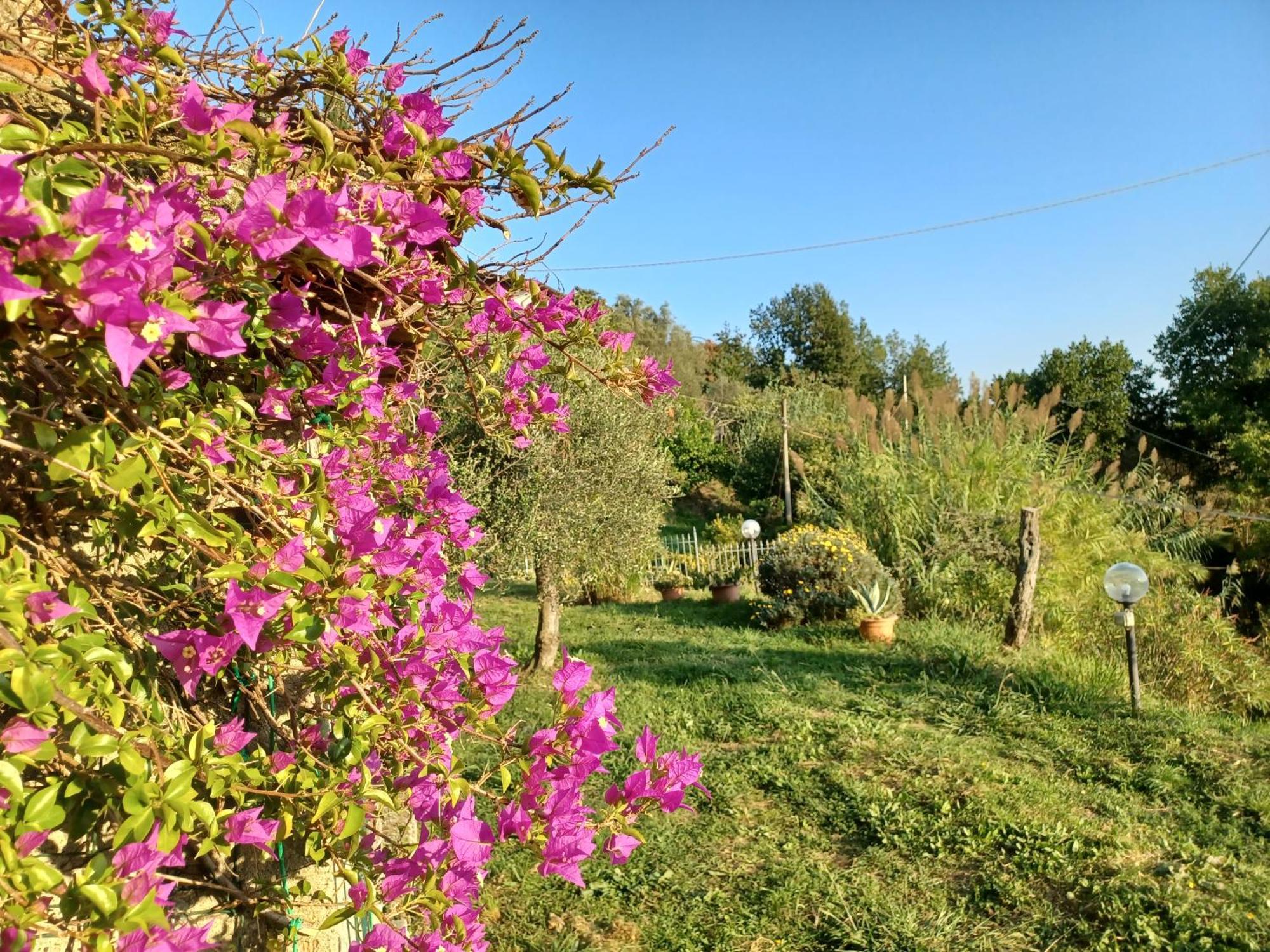 Il Fontolo Villa Ponzano Superiore Exterior photo